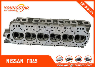 Βενζίνη της NISSAN TB45 11041-VC000 κεφαλιών κυλίνδρων μηχανών 12V