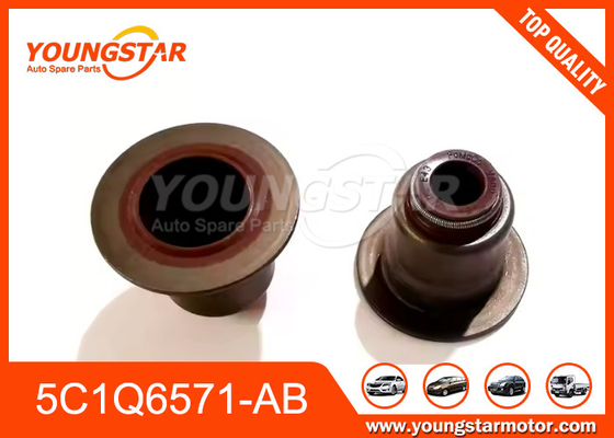 5C1Q6571-AB Κλέψιμο βαλβίδας για Ford V348 Transit 2.4 2.2