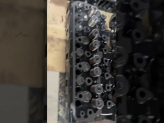 ΠΛΗΡΕΣ ΚΕΦΑΛΙ ΚΥΛΙΝΔΡΩΝ