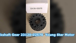 Hyundai Getz Crankshaft Sprocket Belt Gear 23120-02570 YOUNG STAR MOTOR